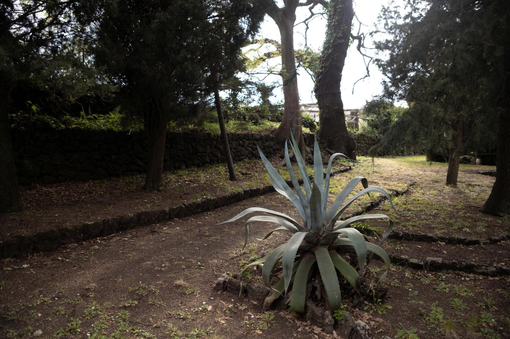 Parco Statella Villa Montelaguardia ภายนอก รูปภาพ