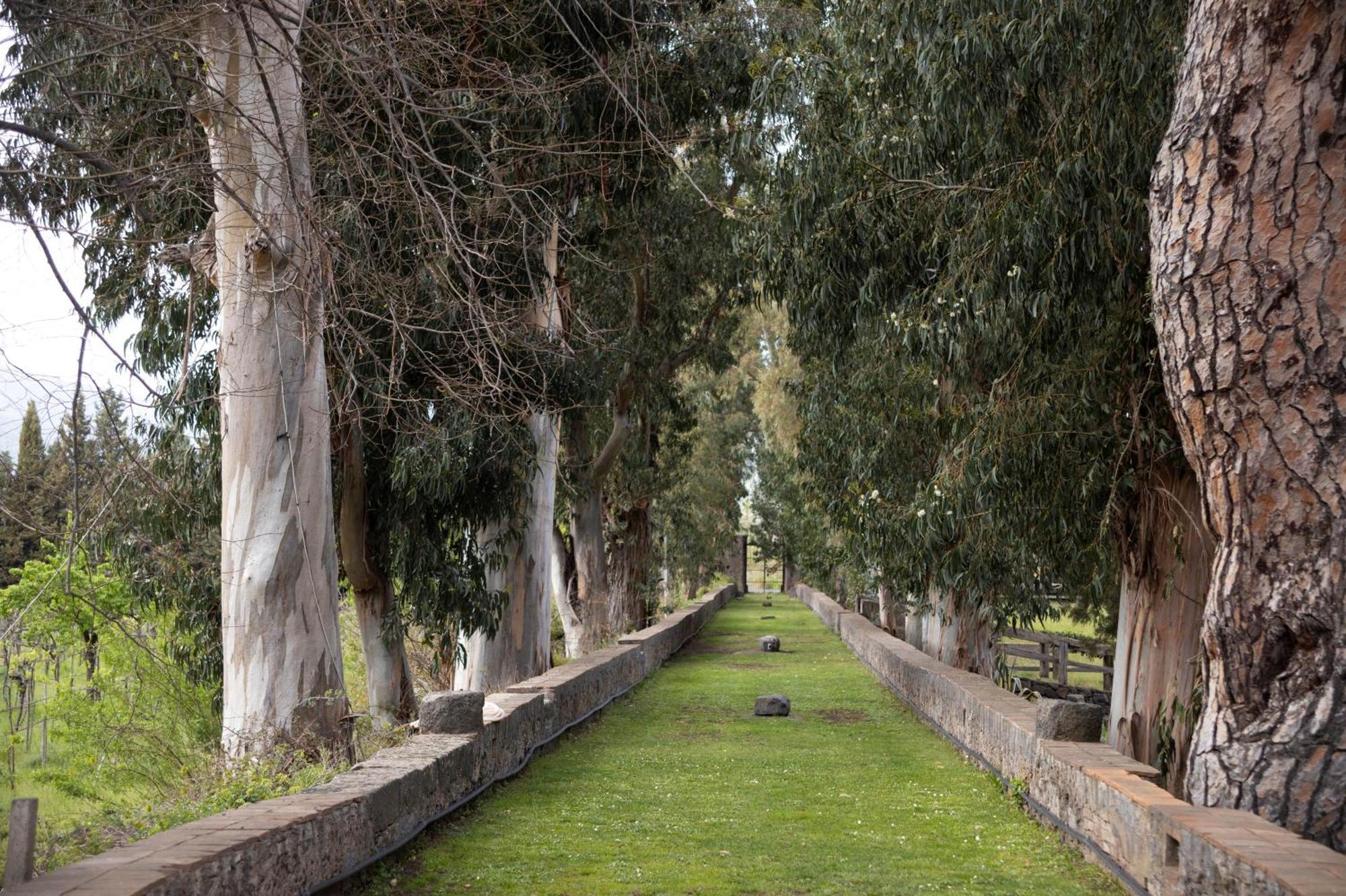 Parco Statella Villa Montelaguardia ภายนอก รูปภาพ