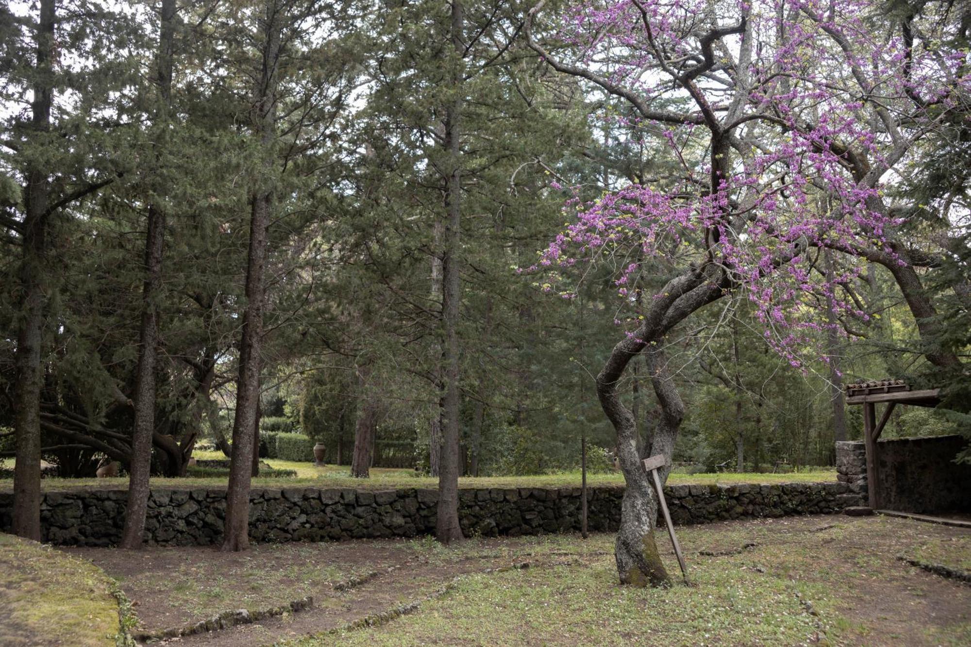 Parco Statella Villa Montelaguardia ภายนอก รูปภาพ
