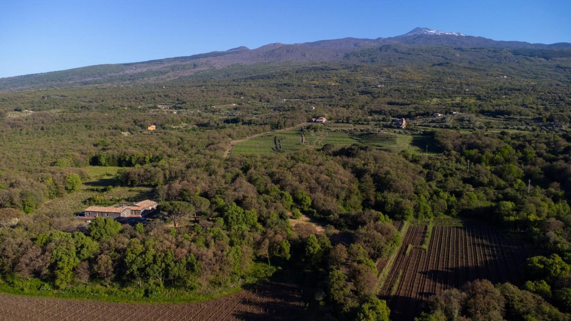 Parco Statella Villa Montelaguardia ภายนอก รูปภาพ