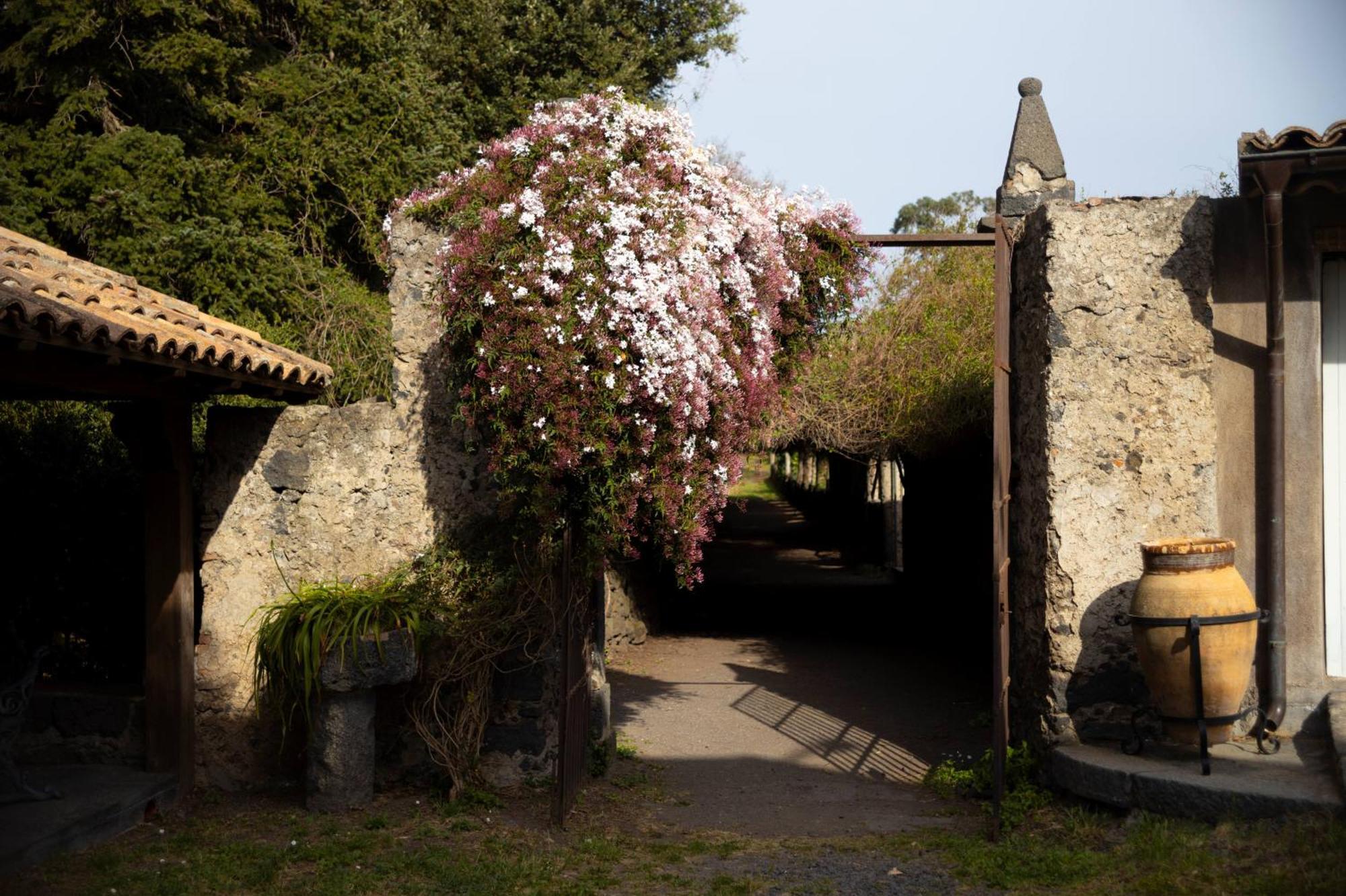 Parco Statella Villa Montelaguardia ภายนอก รูปภาพ